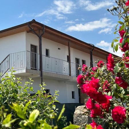 Vila Bloom Вама-Веке Екстер'єр фото