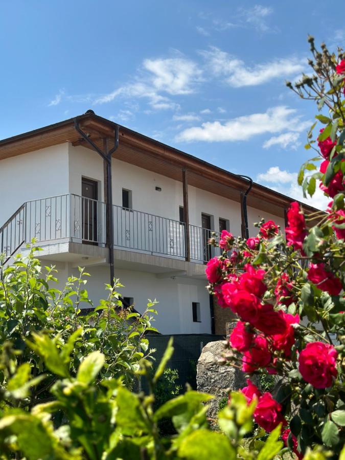 Vila Bloom Вама-Веке Екстер'єр фото